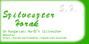 szilveszter horak business card